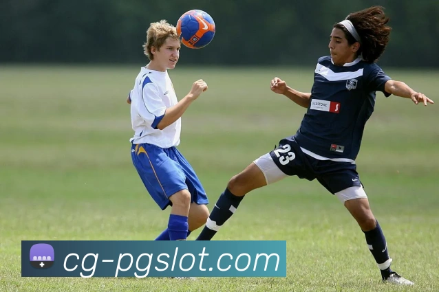 麻将胡了官网平台生态图